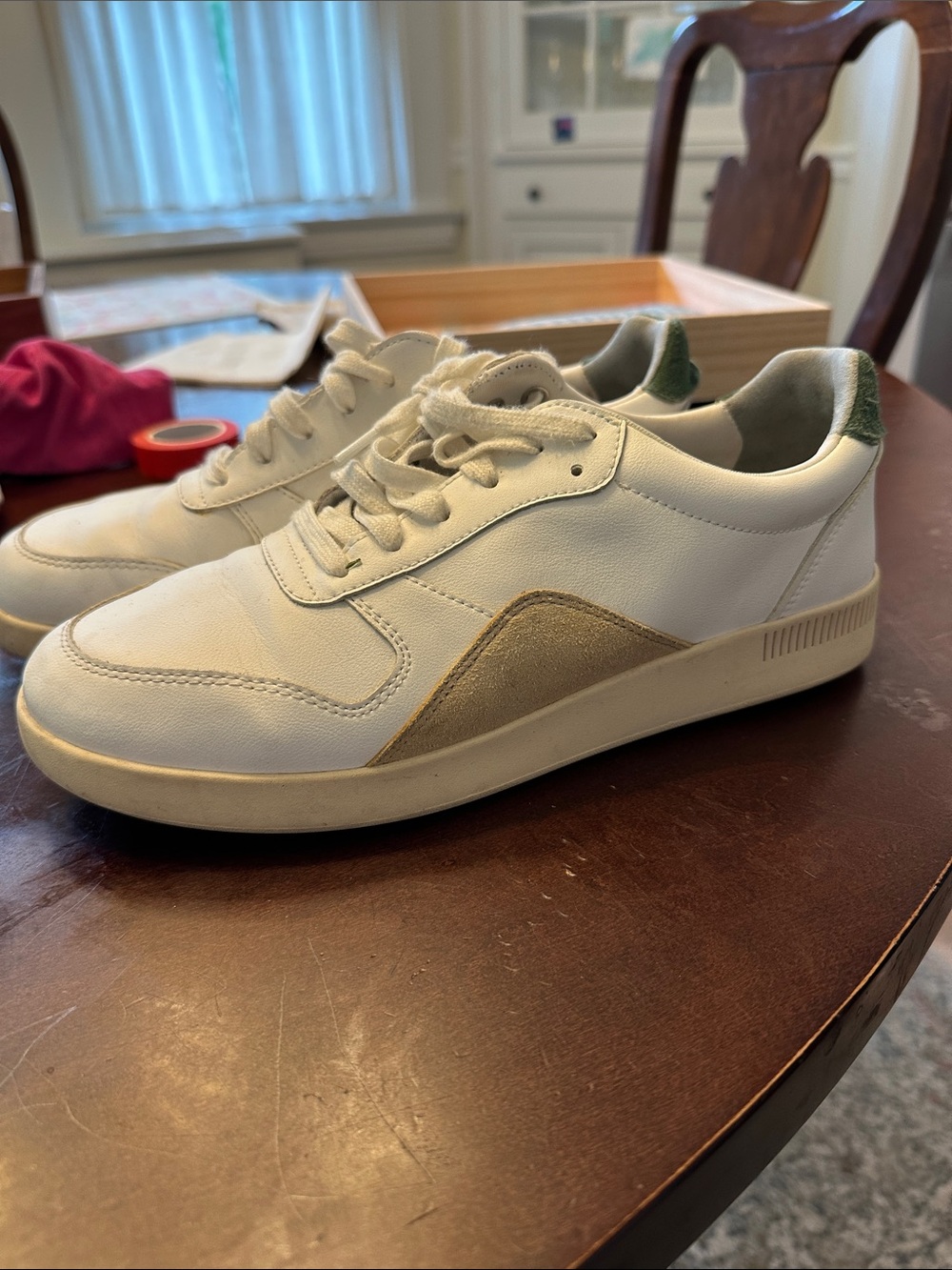 Everlane The Court Sneaker in Green